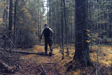 Купить диплом Егеря, лесника в Домодедово