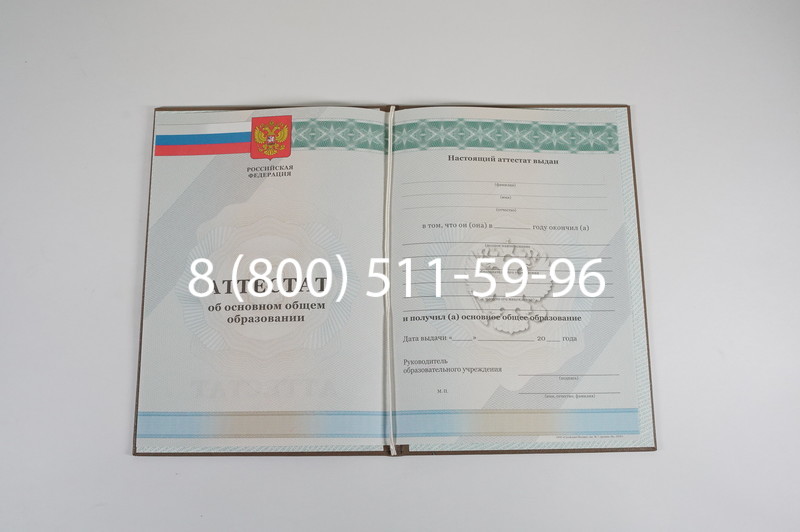 Аттестат за 9 класс 2011-2013 годов в Домодедово