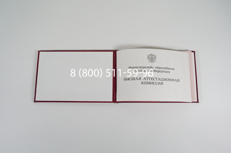 Диплом доктора наук 1995-2006 года в Домодедово Диплом доктора наук 1995-2006 года в Домодедово