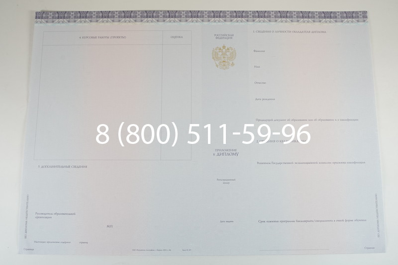 Диплом о высшем образовании (Киржач) 2014-2024 годов в Домодедово