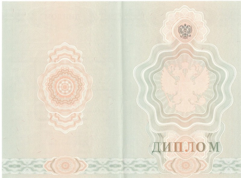 Купить Диплом о начальном образовании 2007-2009 годов в Домодедово Купить Диплом о начальном образовании 2007-2009 годов в Домодедово