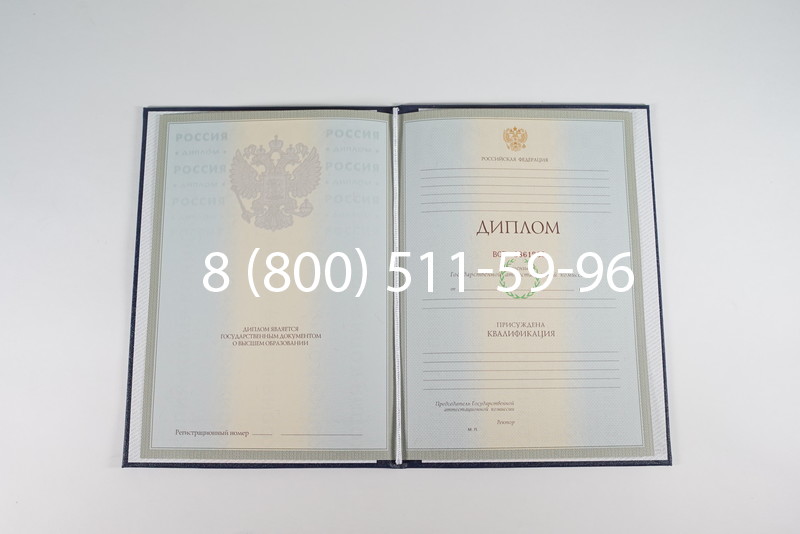 Диплом о высшем образовании 2003-2009 годов в Домодедово Диплом о высшем образовании 2003-2009 годов в Домодедово