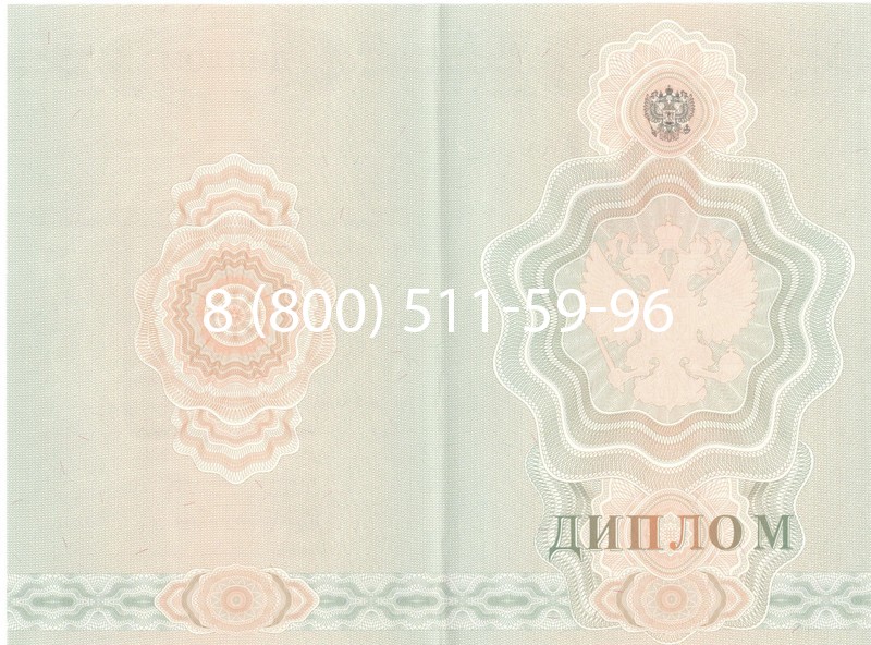 Купить Диплом ПТУ 2007-2010 годов в Домодедово