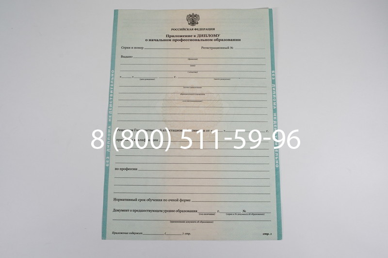 Диплом ПТУ 2014-2024 года в Домодедово