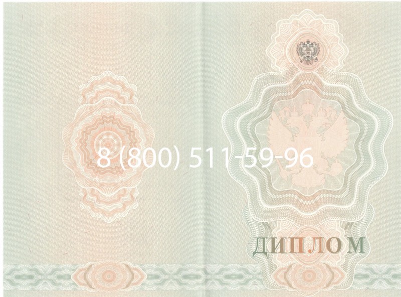Купить Диплом училища 2007-2009 годов в Домодедово Купить Диплом училища 2007-2009 годов в Домодедово
